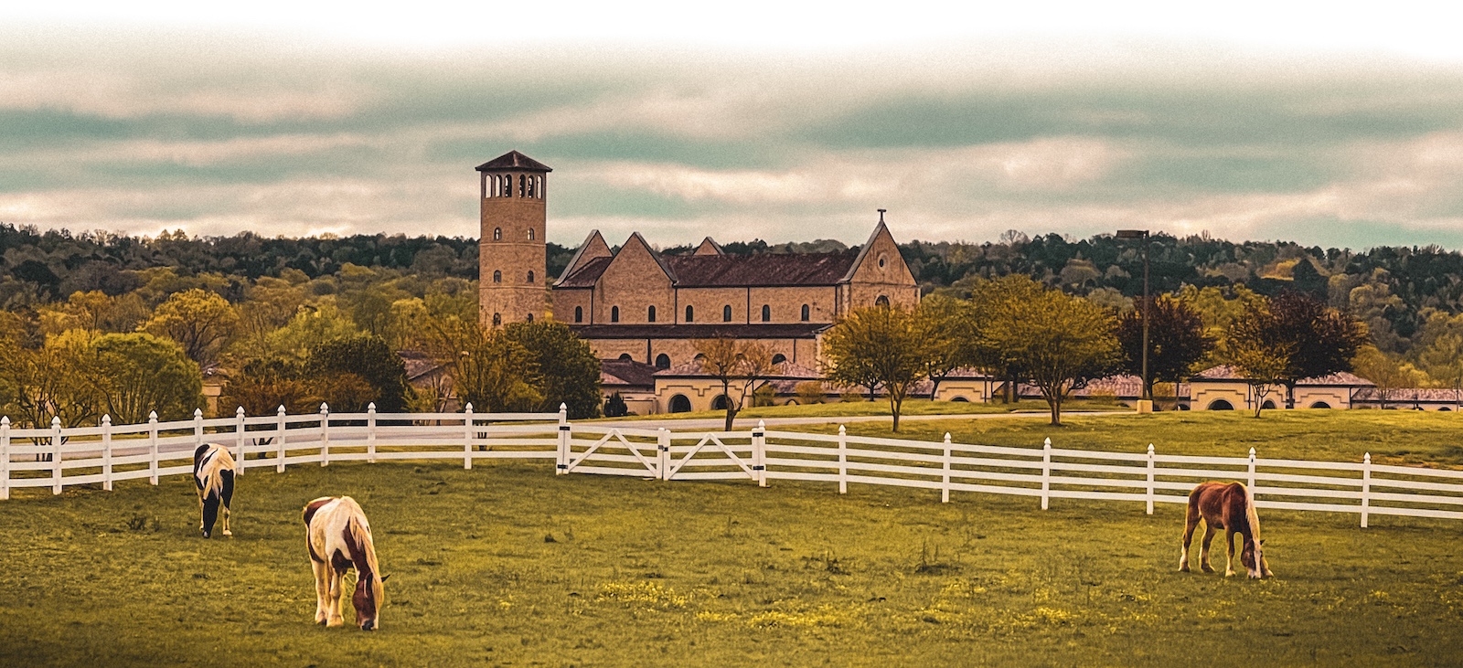 Horses grazing in a field in front of the Shrine of the Most Blessed Sacrament